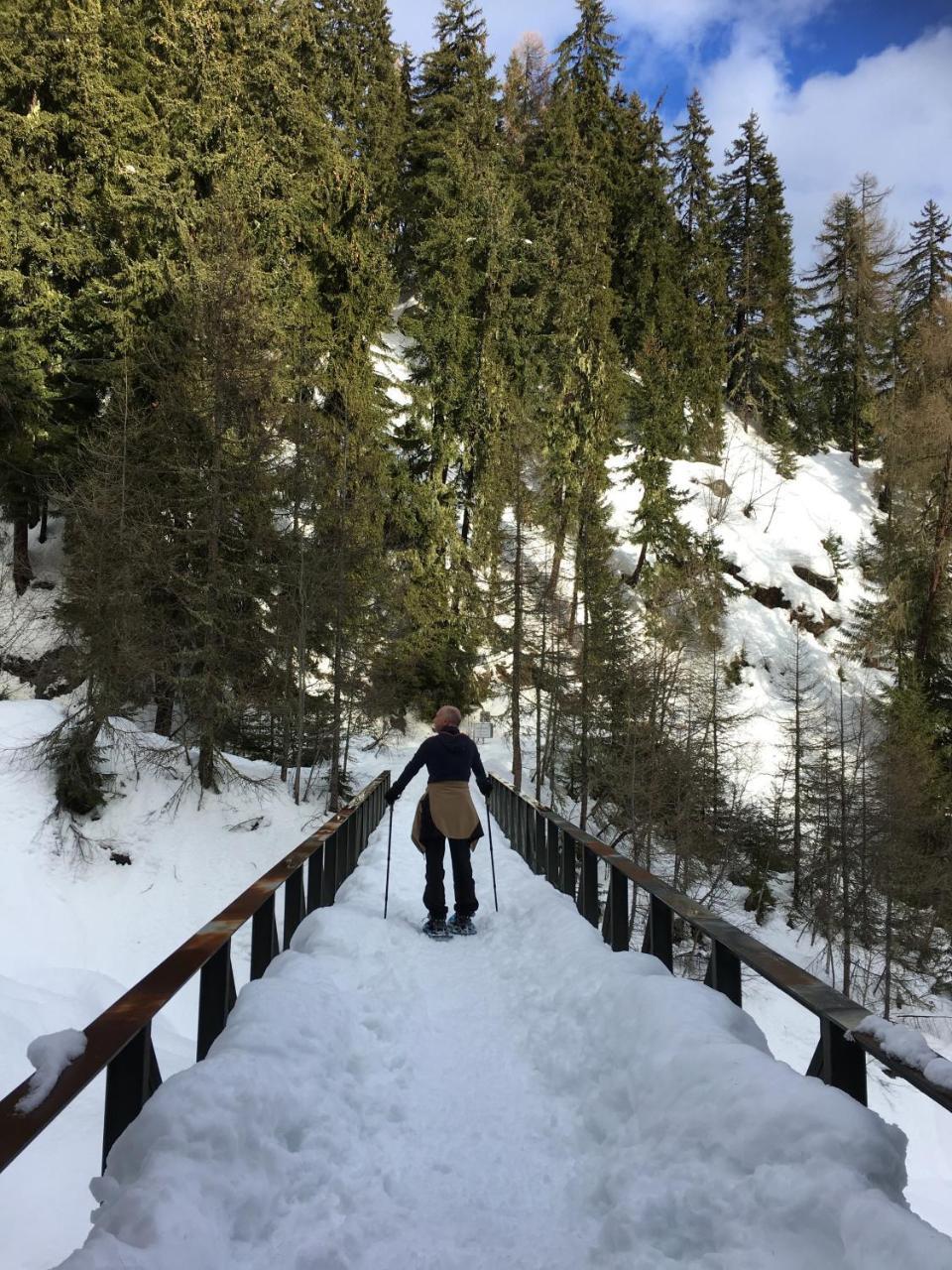 Chalet Ariane Blatten bei Naters Exterior foto